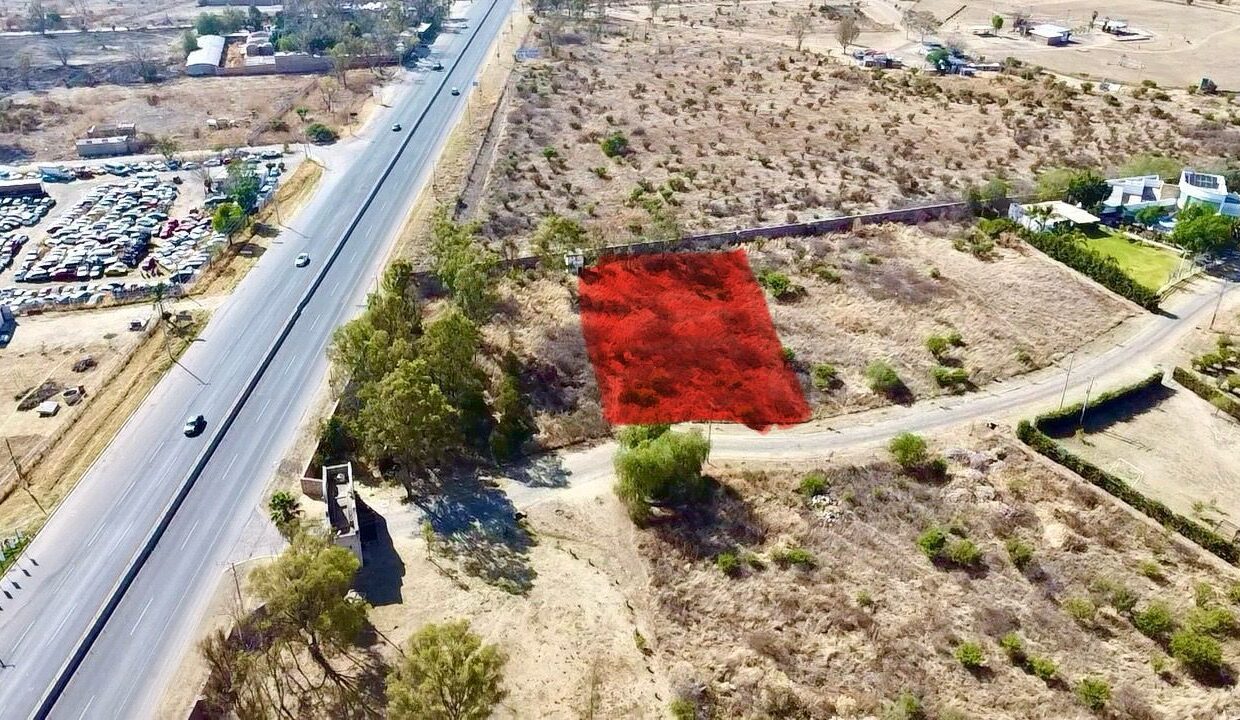 WhatsApp Image 2025-08-25 at 11.04.28 AM