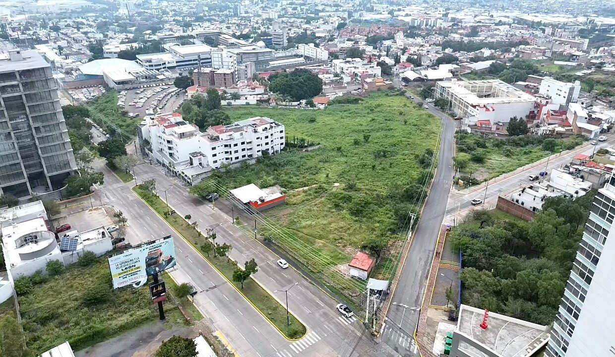 WhatsApp Image 2025-09-09 at 12.34.17 PM (1)