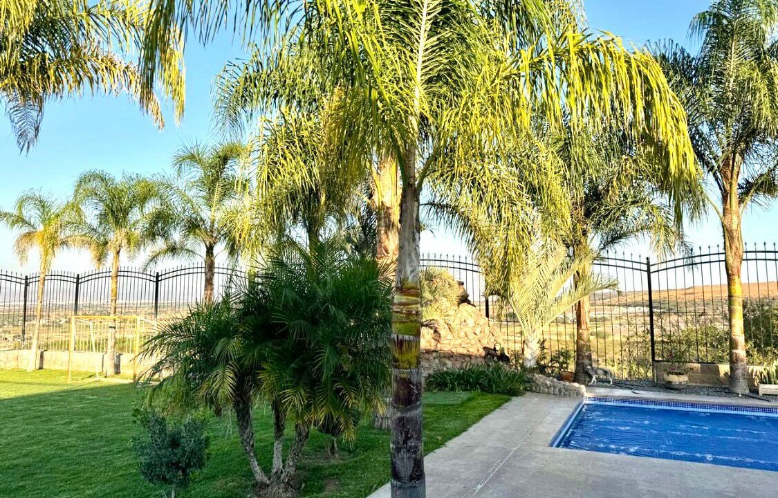 WhatsApp Image 2025-10-23 at 1.01.45 PM (6)