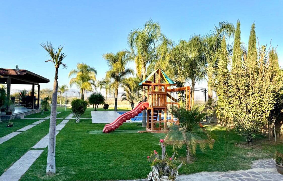 WhatsApp Image 2025-10-23 at 1.01.46 PM