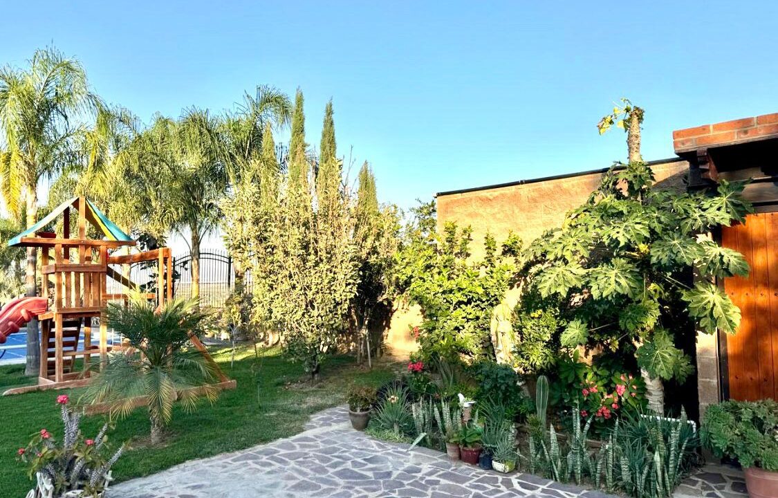 WhatsApp Image 2025-10-23 at 1.01.47 PM (4)