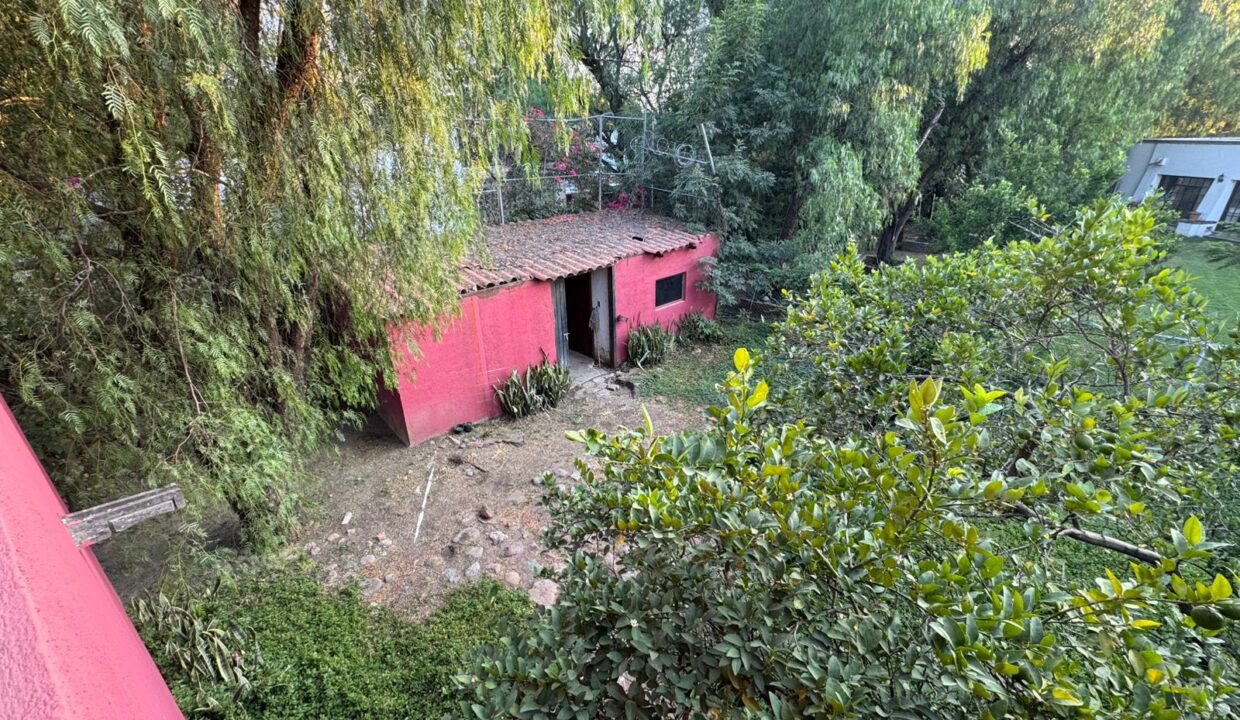 WhatsApp Image 2025-11-25 at 9.59.05 AM (1)